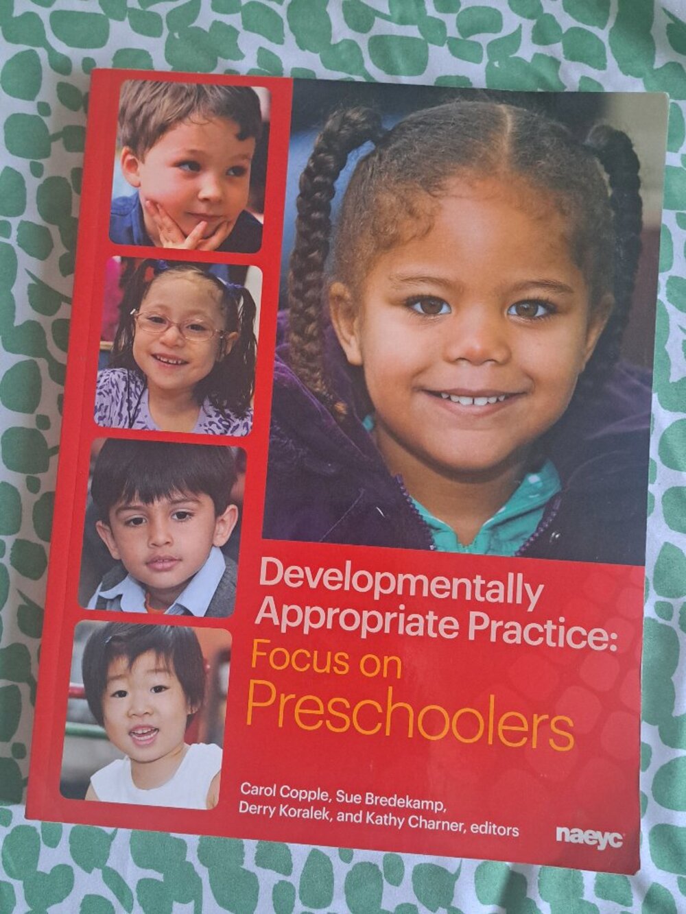 Developmentally appropriate practice: focus on preschoolers